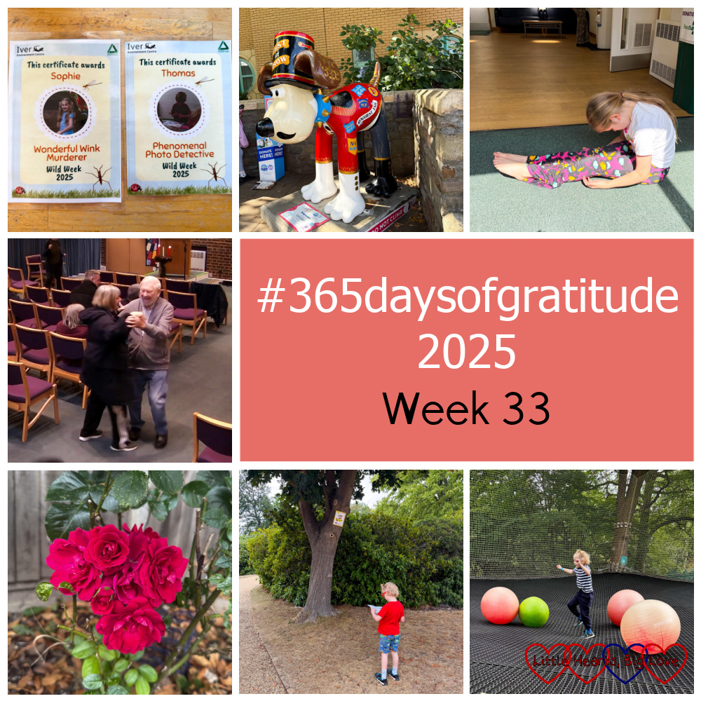 Sophie and Thomas's awards from Wild Week; one of the Gromit sculptures; Sophie stretching; Cecil dancing in the aisles at church; red roses in the garden; Thomas doing the Story Garden trail; Thomas having fun with the giant bouncy balls on the Nets Adventure - "#365daysofgratitude 2025 - Week 33"