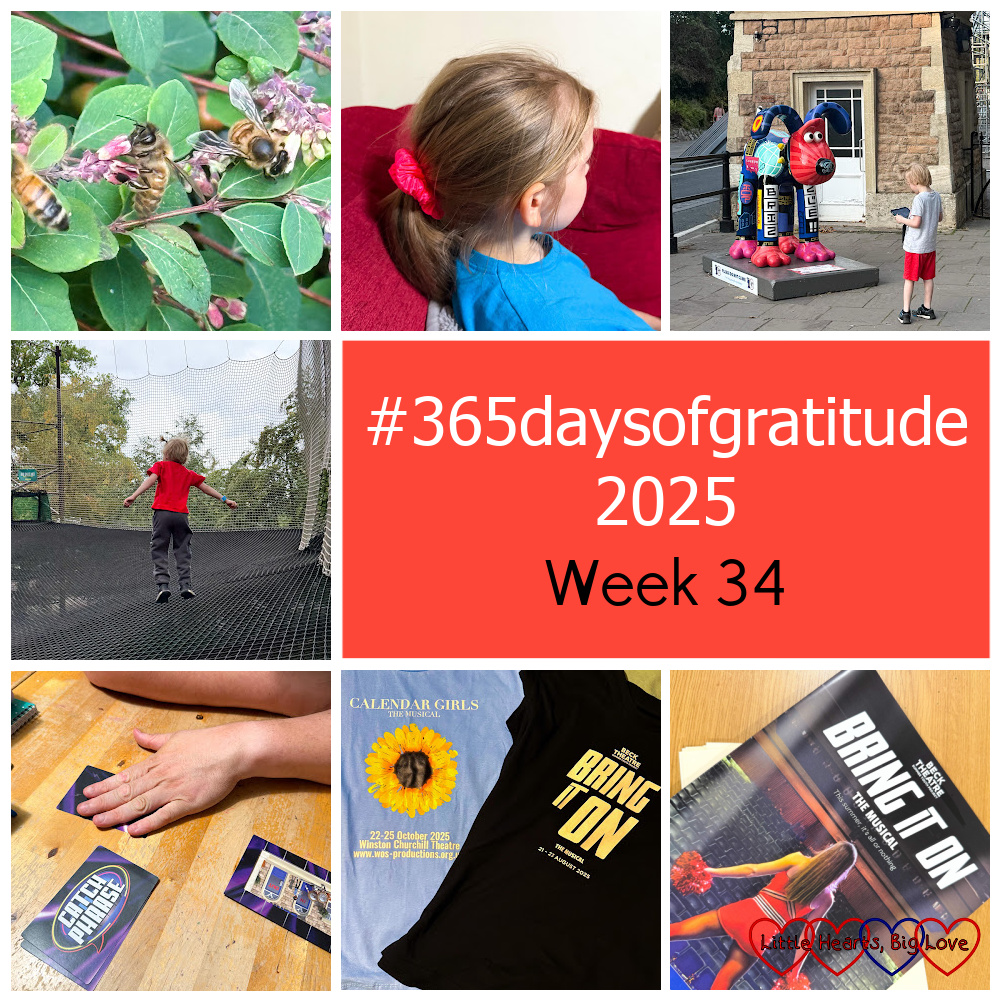 Bees on flowers in the garden; Sophie sitting on the sofa; Thomas with one of the Gromit Unleashed 3 sculptures; Thomas jumping on the nets at the Nets Adventure; my husband playing the Catchphrase card game with Sophie; show T-shirts for Calendar Girls and Bring It On; a programme for Bring It On - "#365daysofgratitude 2025 - Week 34"