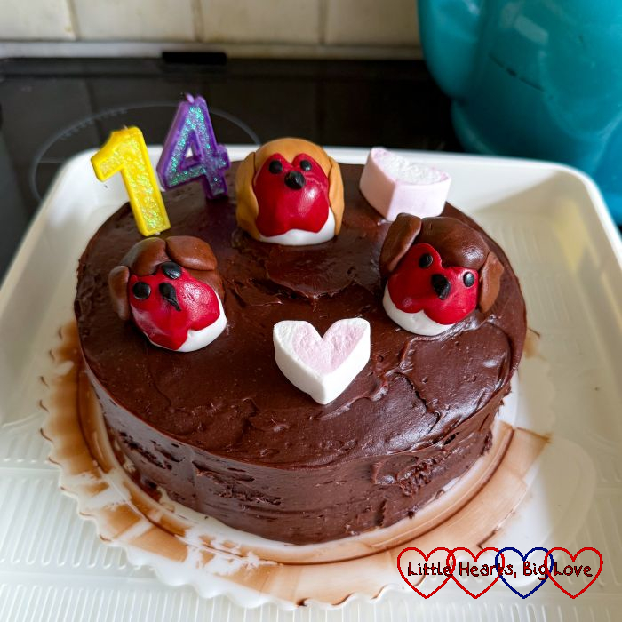 A chocolate cake with three fondant robins on top, marshmallow hearts and number '14' candles