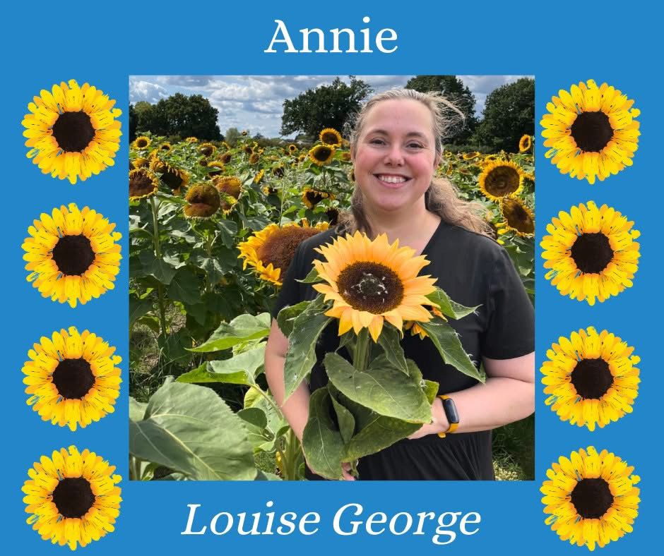 A promo shot of me standing in a sunflower field surrounded by a blue border and images of sunflowers