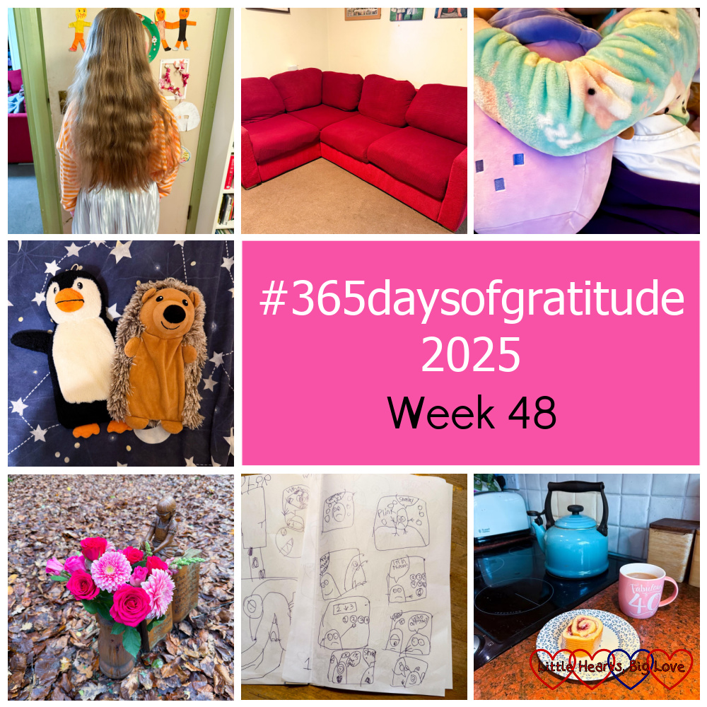Sophie ready for her school disco; new sofa cushion covers; Sophie snuggled under a blanket in her onesie; hedgehog and penguin hot water bottles; pink flowers at Jessica's forever bed; Thomas's comic strip; tea and a slice of Swiss roll - "#365daysofgratitude 2025 - Week 48"