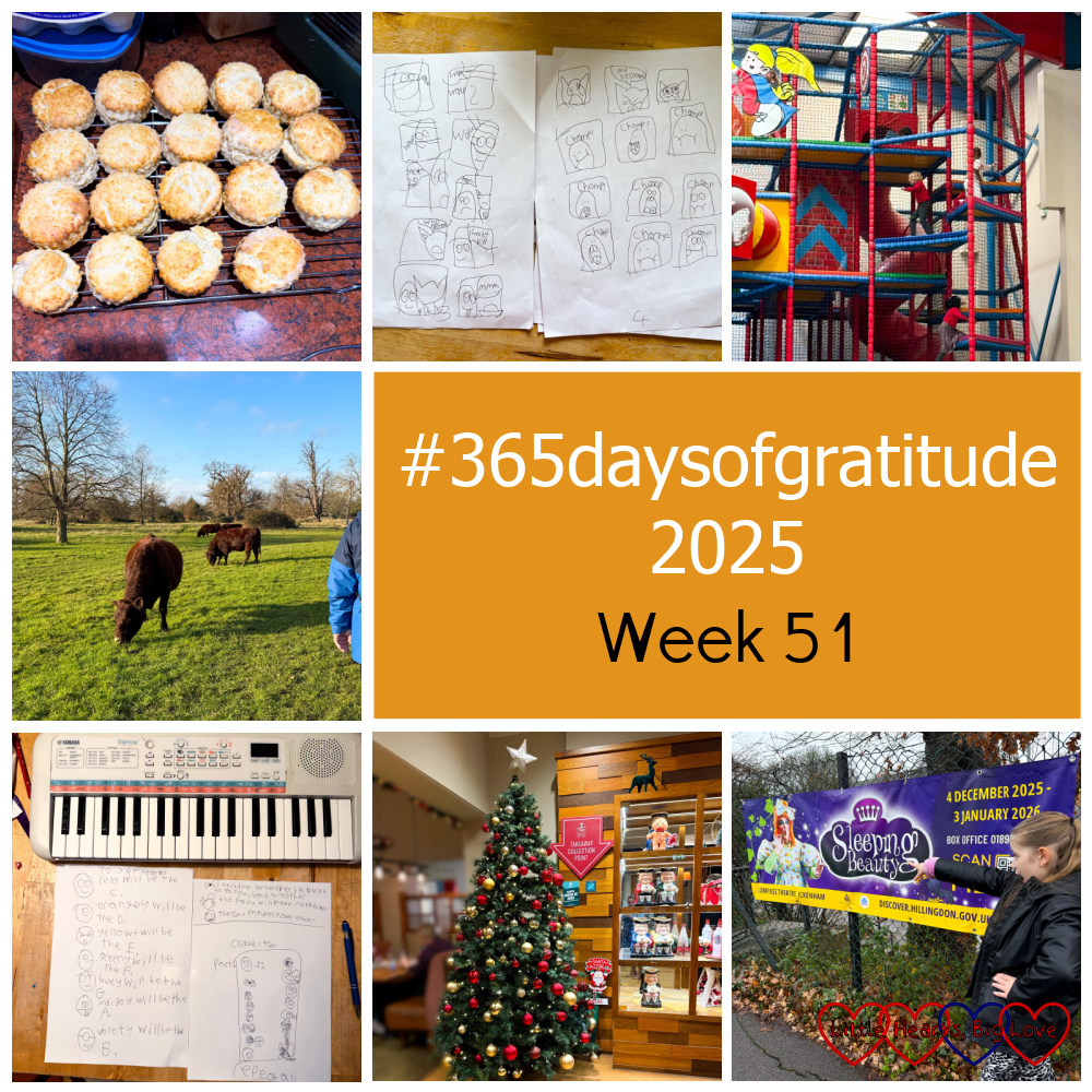 Cheese scones cooling on a wire rack; Thomas's comic book; Thomas enjoying soft play; cows in a field; Thomas's music in front of his keyboard; a Christmas tree at a restaurant; Sophie next to the banner for 'Sleeping Beauty' - #365daysofgratitude 2025 week 51