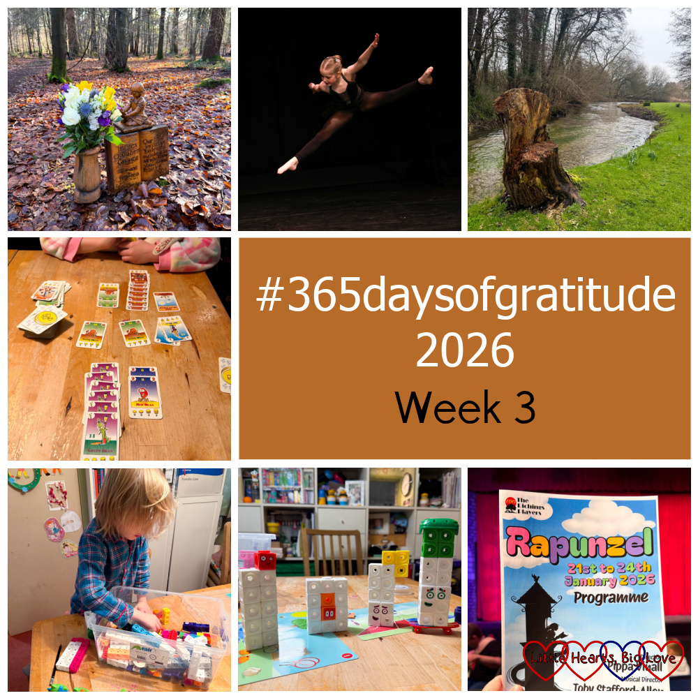 Pretty flowers at Jessica's forever bed; Sophie doing her new modern solo; a tree stump by a river; Bohnanza card game; Thomas playing with Mathlink cubes, Numberblocks made from Mathlink cubes; a programme for 'Rapunzel' - "#365daysofgratitude 2025 - Week 3"