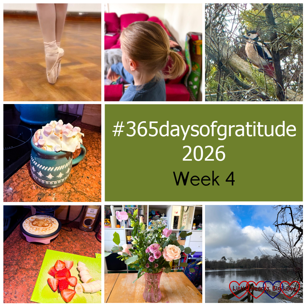 Sophie in fifth position releve on pointe; Thomas with his hair in a ponytail; a greater-spotted woodpecker in a tree; hot chocolate with squirty cream and marshmallows in a mug; Hello Kitty themed waffles with strawberries and bananas; pink and peach flowers in a vase; a lake under a blue sky - "#365daysofgratitude 2026 week 4"