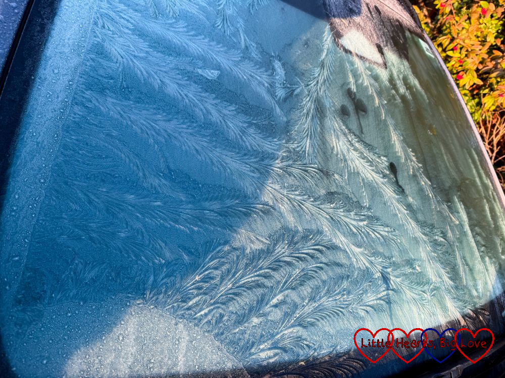 Pretty ice patterns on the car windscreen