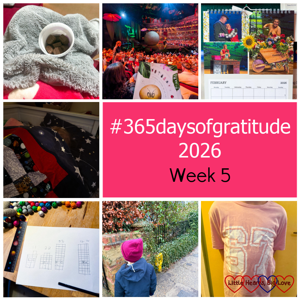 A tub of mini chocolate cakes on a blanket-covered lap; Cirque du Soleil at the Royal Albert Hall; my Calendar Girls calendar for February; Thomas snuggled up under his quilt; Thomas's drawing of Numberblocks 11, 22, 33 and 44; Thomas on the morning school run; Sophie's '6 7' T-shirt - "#365daysofgratitude 2026 week 5"