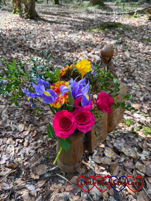 Colourful flowers at Jessica's forever bed