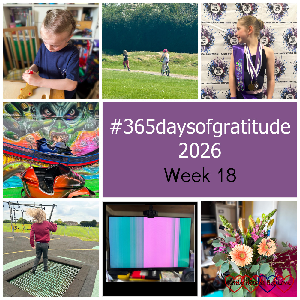 Thomas decorating a gingerbread man; Sophie riding her bike with Thomas running in front of her; Sophie with a sash and medals; Sophie and Thomas on the ghost train; Thomas at the park; my computer screen with green and pink lines on it; a bouquet of flowers - "#365daysofgratitude 2026 week 18"