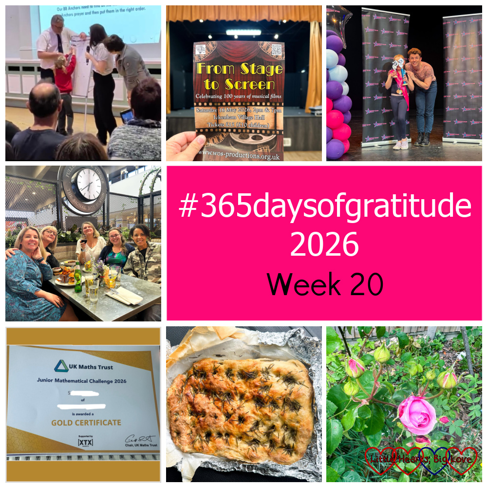 Thomas at the Brigades display; a flyer for 'From Stage to Screen' held in front of a stage; Sophie with her trophies; me with my Birth Centre colleagues; Sophie's Maths challenge certificate; the focaccia Sophie made; a Pretty Jessica rose - "#365daysofgratitude 2026 - Week 20"