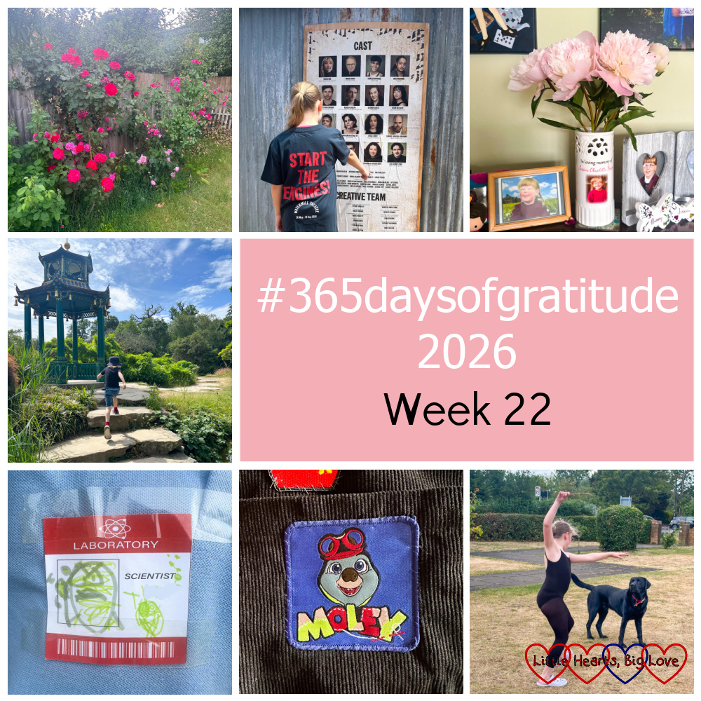 Roses in my garden; Sophie looking at the Chitty cast list; a vase of pink peonies; Thomas at Cliveden; Thomas's scientist badge; my Moley patch on my rehearsal bag; Sophie playing with Bear - "#365daysofgratitude 2026 - Week 22"