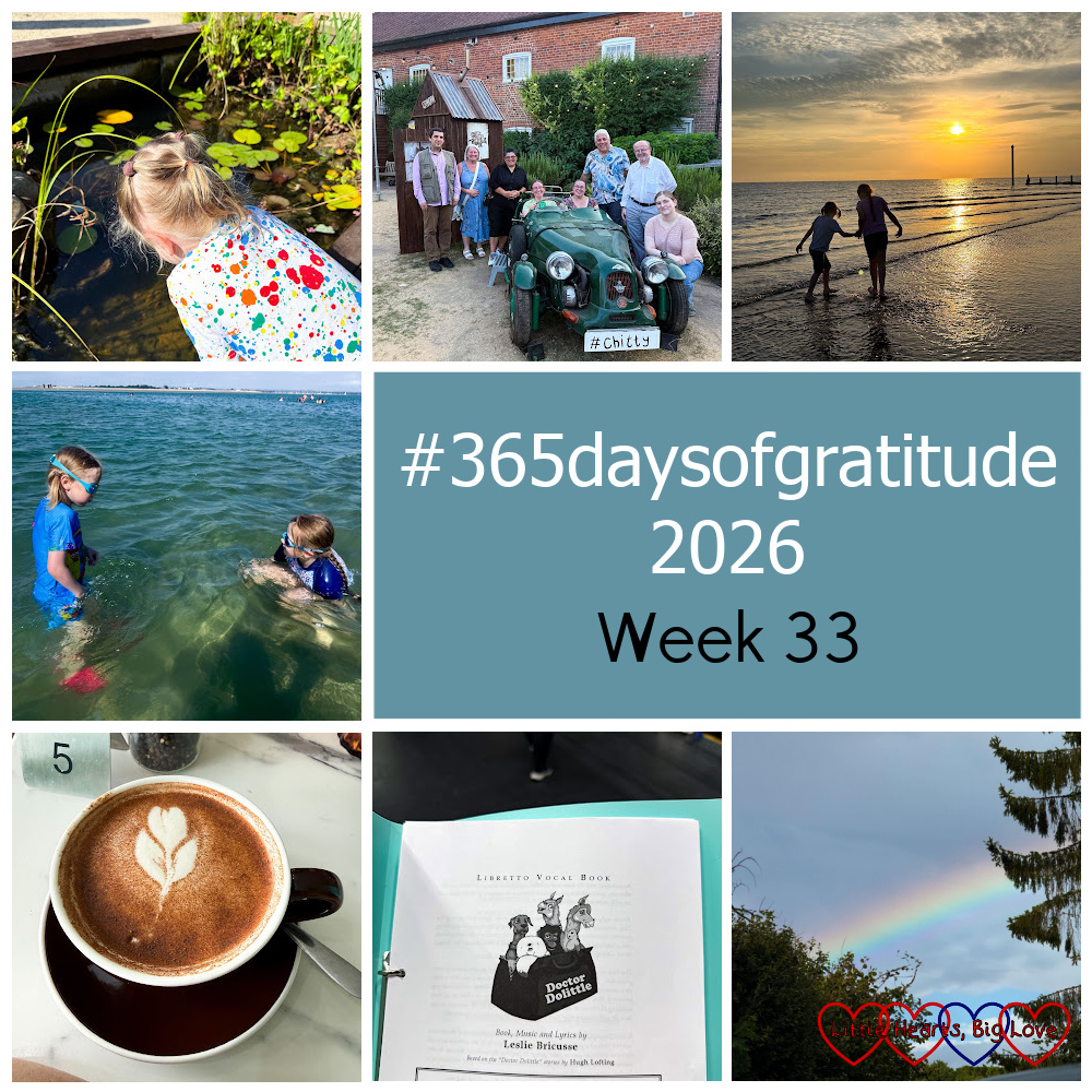 Thomas looking at a pond; my WOS friends at Chitty; Sophie and Thomas on the beach at sunset; Sophie and Thomas in the sea; a chai latte; a script for Doctor Dolittle; a rainbow