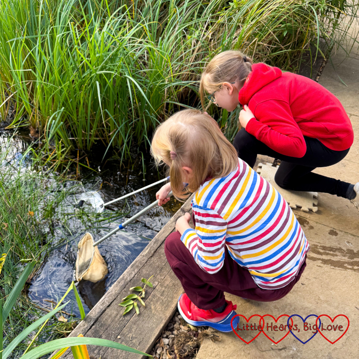 Sophie and Thomas doing pond dipping