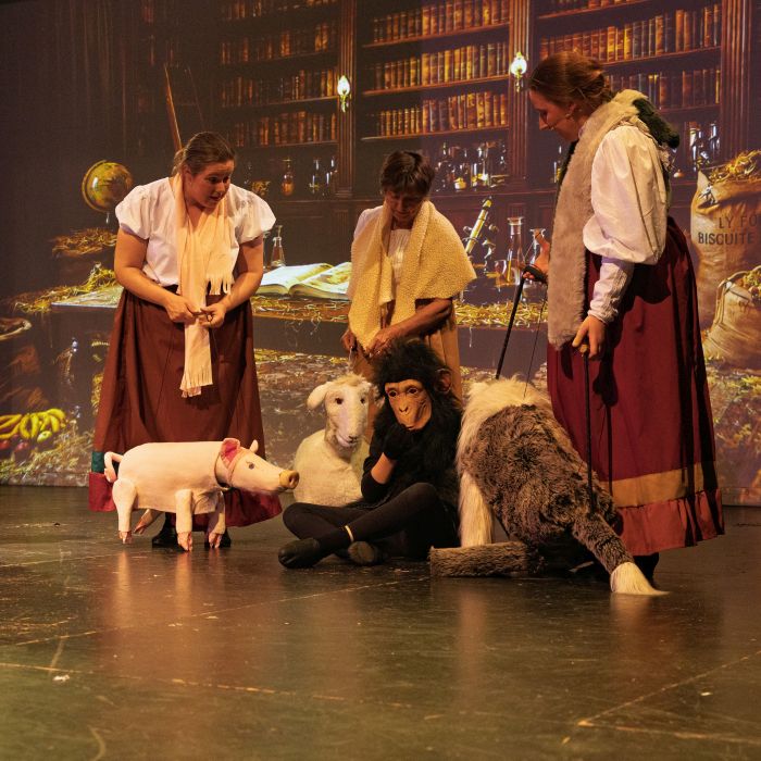 Me on stage puppeteering Gub-Gub the pig with Sophie as Chee-Chee the chimp and two other cast members puppeteering Dolly the sheep and Jip the dog