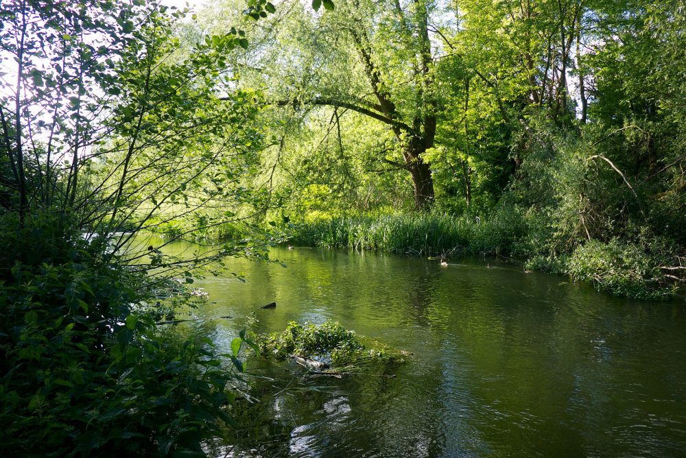 The view along the river with trees either side