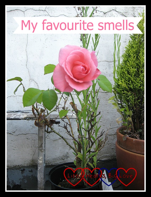 My favourite smells - Little Hearts, Big Love