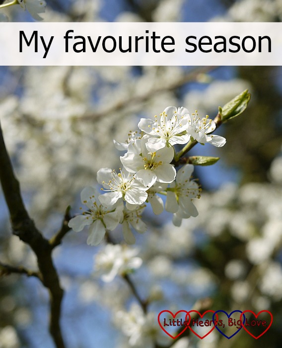 My favourite season - Little Hearts, Big Love