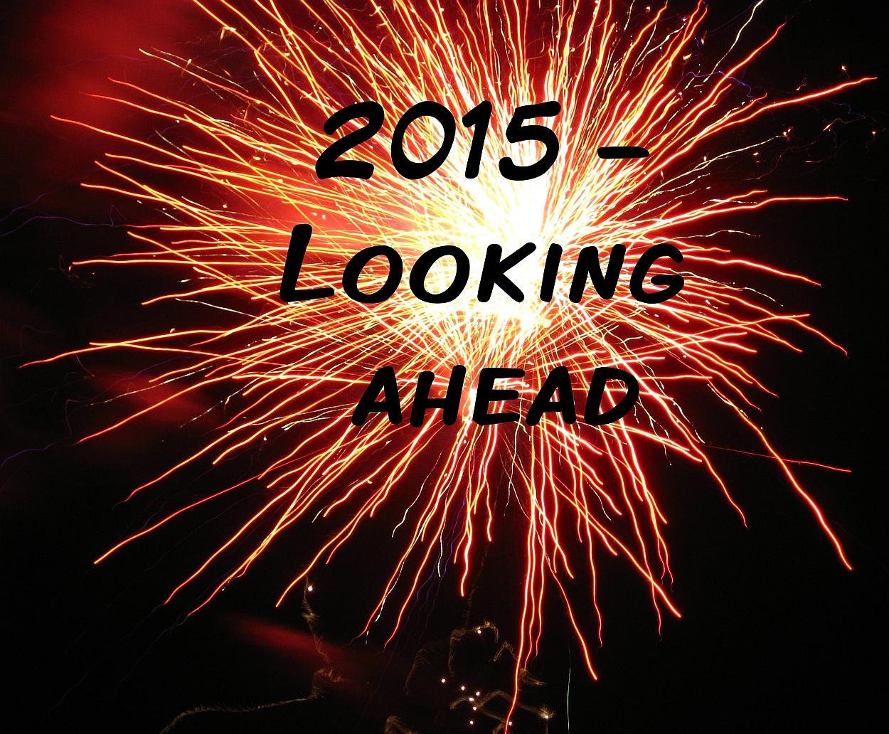 2015 - Looking ahead - Little Hearts, Big Love