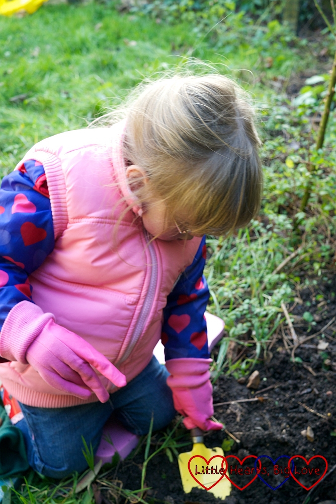 Planting Sophie's rose - Little Hearts, Big Love