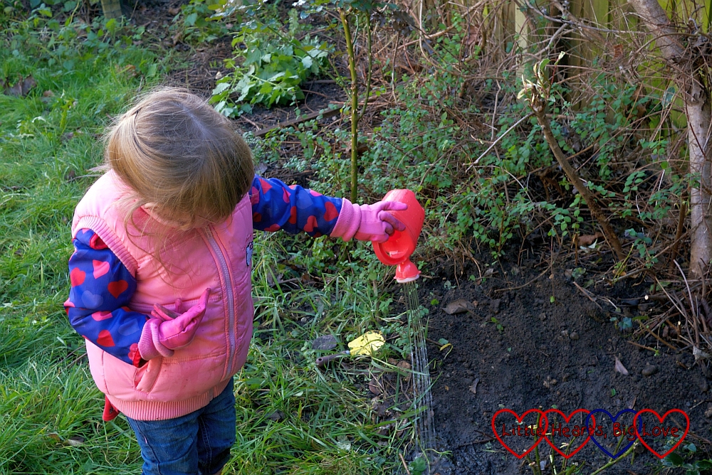 Planting Sophie's rose - Little Hearts, Big Love