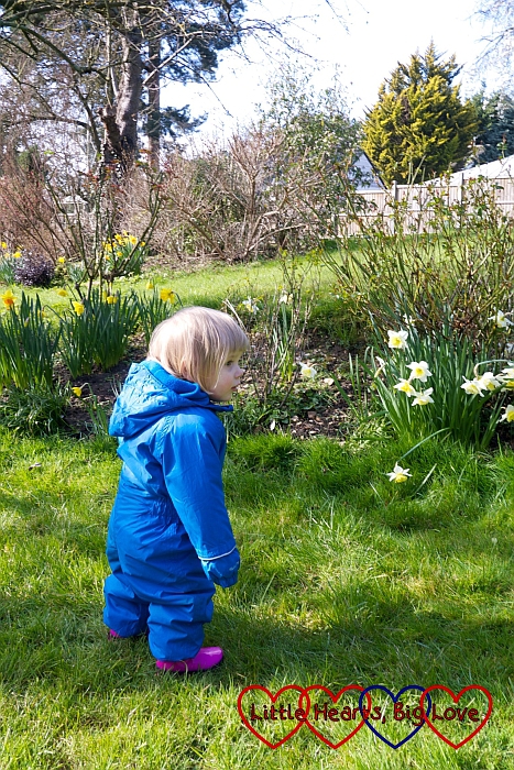 Exploring Grandma's garden - Little Hearts, Big Love