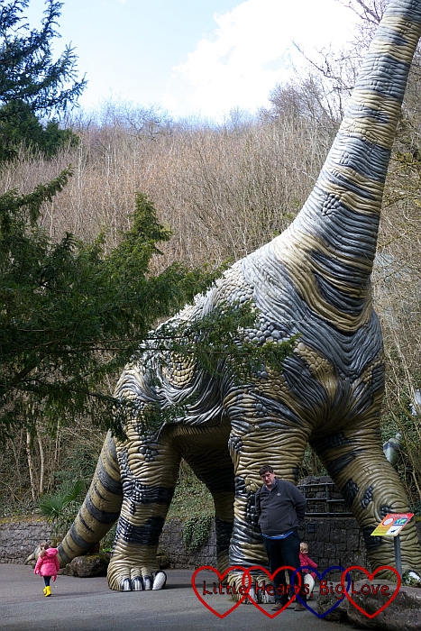 National Showcaves Centre for Wales & Dinosaur Park - Little Hearts, Big Love