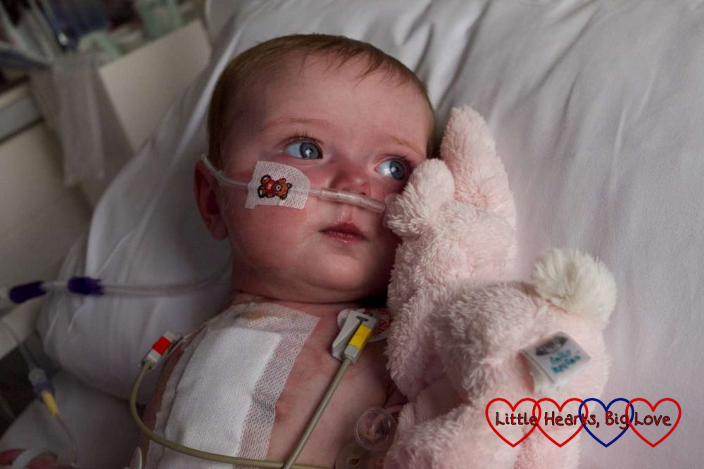 Action Medical Research: funding new research to help improve surgery for babies with HLHS - Little Hearts, Big Love