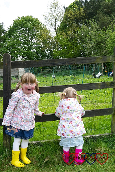 Seeing the chickens at the Chiltern Open Air Museum - Little Hearts, Big Love