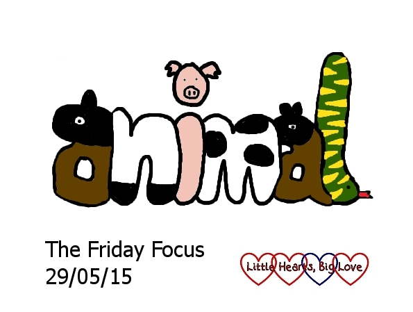 It's been an animal themed week this week: The Friday Focus 29/05/15 - Little Hearts, Big Love