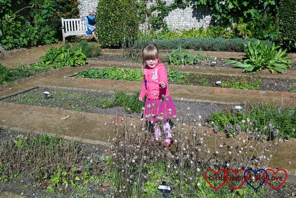 Petersfield Physic Garden - Little Hearts, Big Love