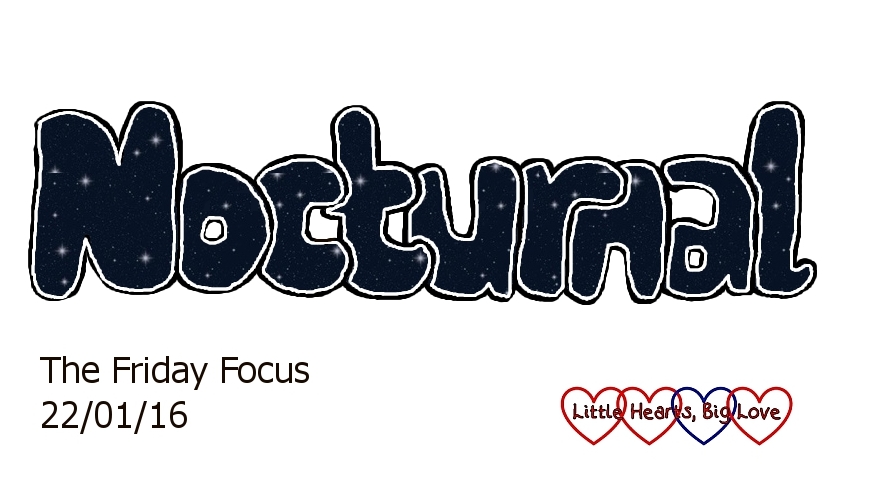 Nocturnal - this week's word of the week: The Friday Focus 22/01/16 - Little Hearts, Big Love