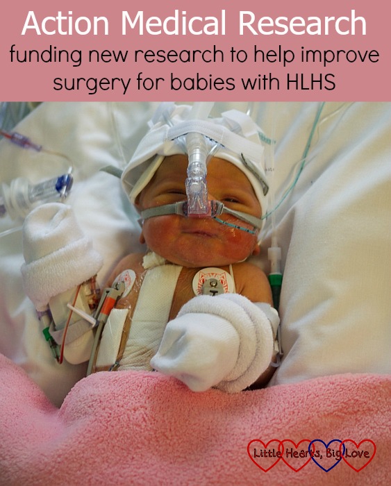 Action Medical Research: funding new research to help improve surgery for babies with HLHS - Little Hearts, Big Love