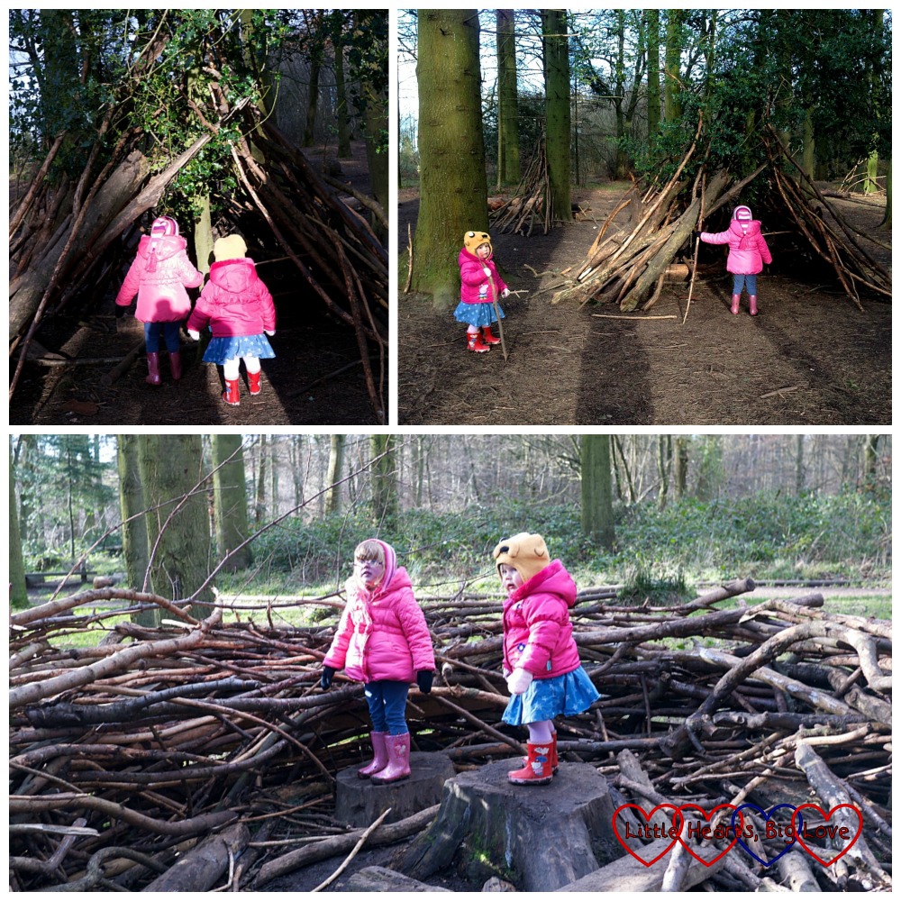 Dens and a gigantic nest - The Stick Man Trail at Wendover Woods - Little Hearts, Big Love