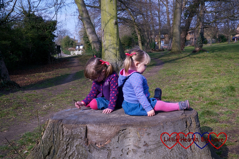 Two sisters sitting on a tree stump - A walk along the canal - Little Hearts, Big Love