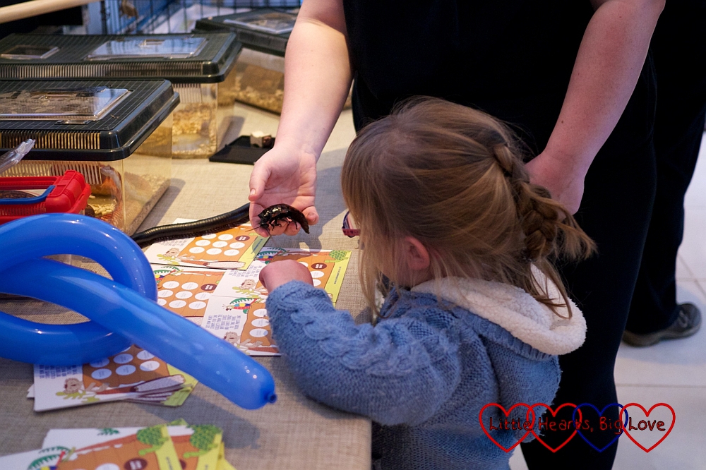 Being fascinated by creepy crawlies at the #ZookeeperZoe launch party - The Friday Focus 18/03/16 - Little Hearts, Big Love