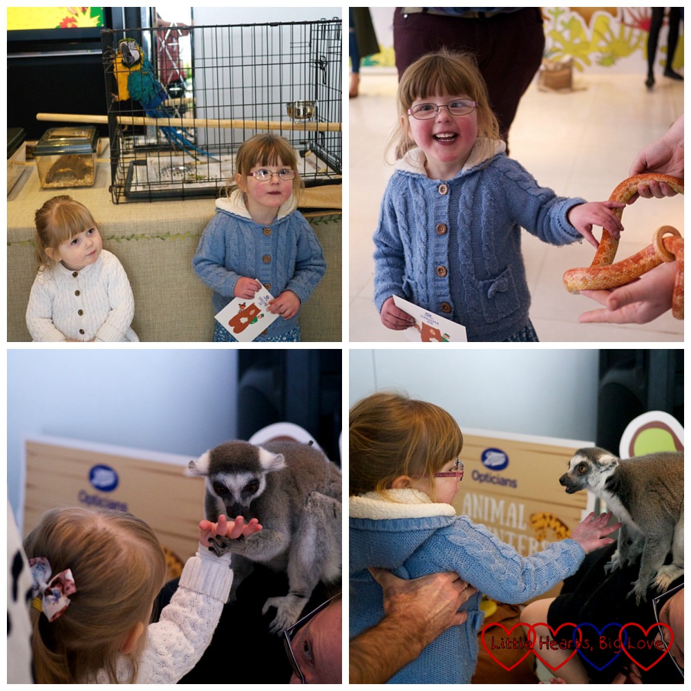 Animal encounters at the #ZookeeperZoe launch party - Zookeeper Zoe – a clever eye check storybook from Boots Opticians - Little Hearts, Big Love