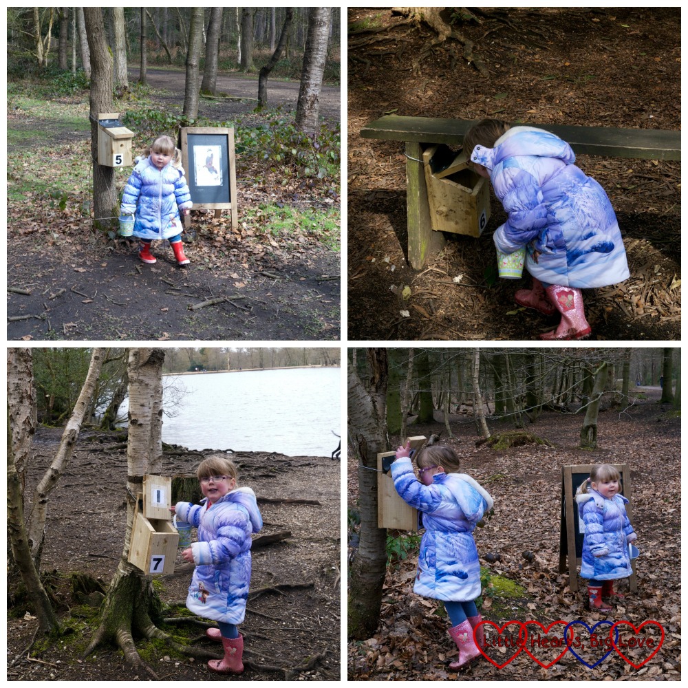 Finding some more boxes along the way - Easter trail at Black Park - Little Hearts, Big Love