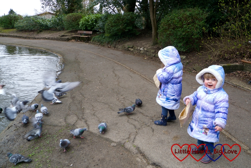 Feeding the ducks and pigeons at Pinner Memorial Park
