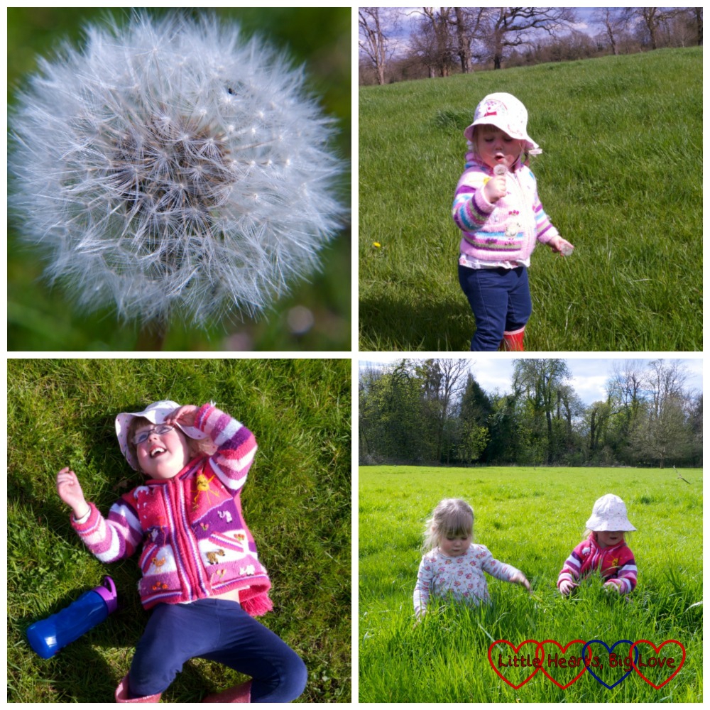 Dandelion clocks, lying down and watching the aeroplanes ahead and hunting for mini-beasts in the long grass