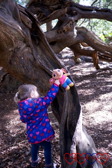 Discovering a fairy slide in the Temple Gardens at Langley Park