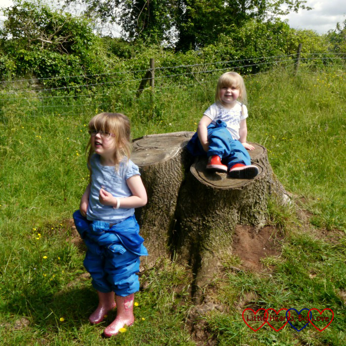 Jessica and Sophie sitting on a tree trunk together at Cadbury Camp