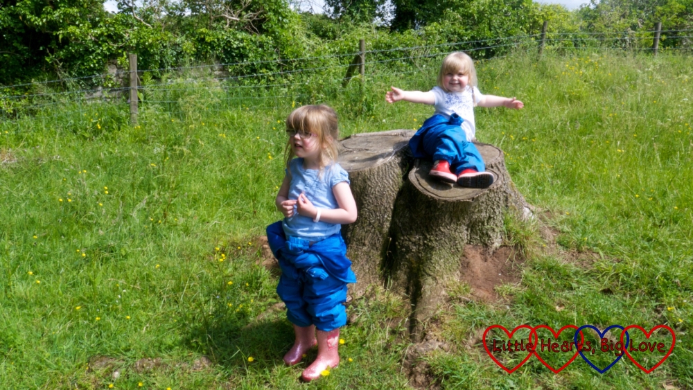 Sophie sitting on a tree stump and Jessica standing next to her at Cadbury Camp