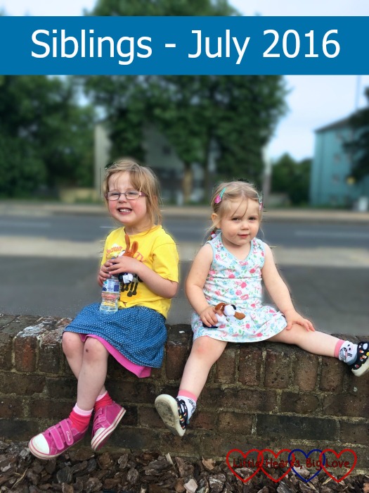 Jressica and Sophie sitting on a wall together - Siblings July 2016