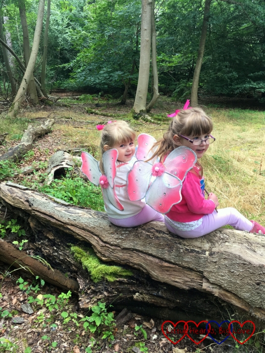 Jessica and Sophie sitting on a log with their fairy wings on and looking over their shoulders at me