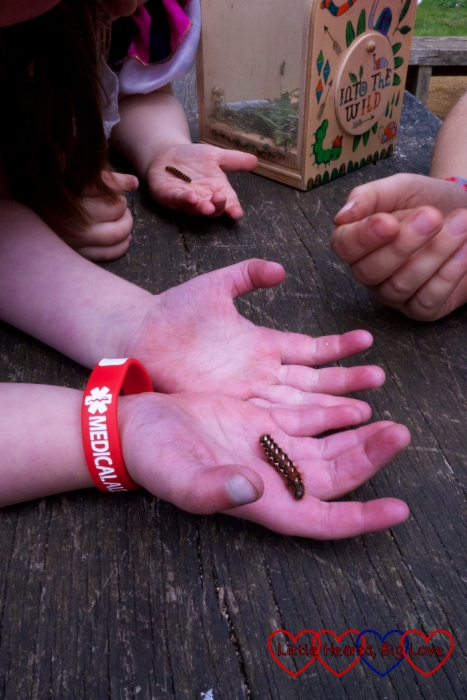 Jessica and Sophie holding a furry caterpillar each