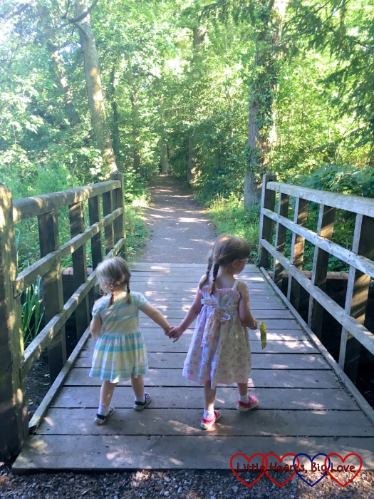 Jessica and Sophie walking hand-in-hand over the wobbly bridge by the lake