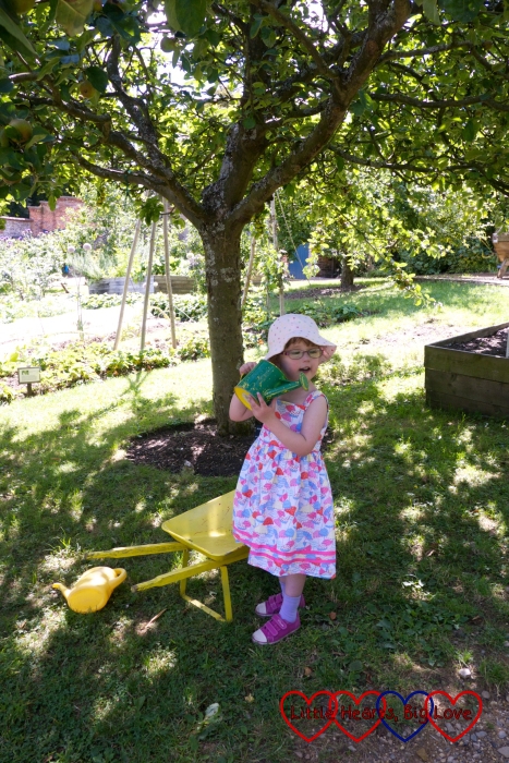 Jessica with a wheelbarrow and watering can in the kitchen garden at Hughenden