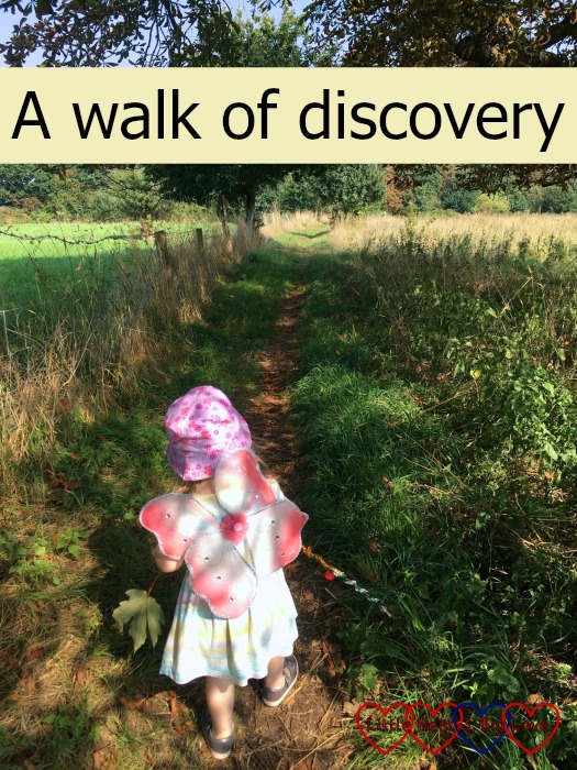 Sophie exploring a little lane near home and going on "A walk of discovery"