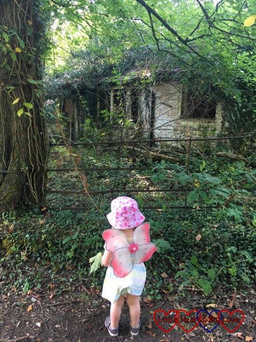 Sophie looking at "the witch's cottage" - a derelict cottage in the woods