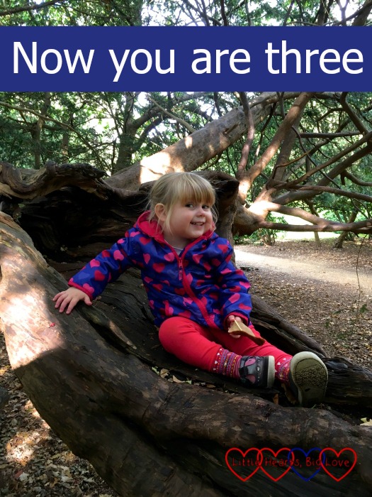 Sophie sitting in a tree at the park with the text "Now you are three"
