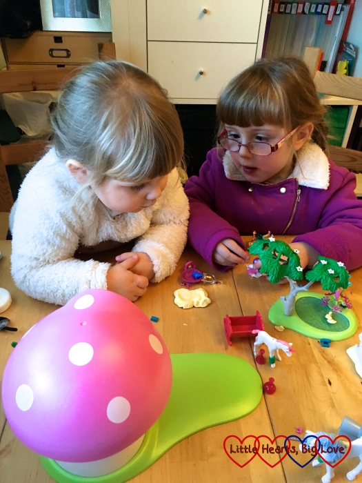 Jessica and Sophie playing together with their new fairy Playmobil